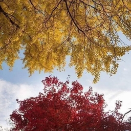 ํผ๋์ ์
๋ก๋ ๋ ์ด๋ฏธ์ง