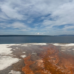 피드에 업로드 된 이미지