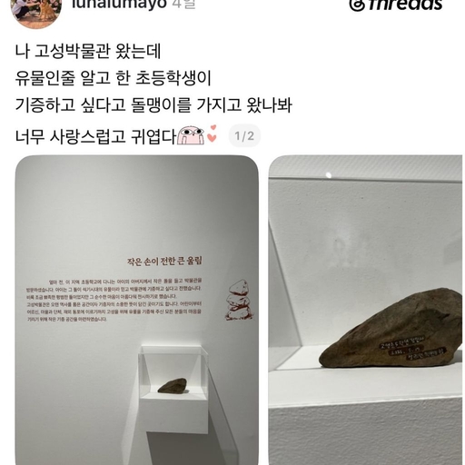 피드 이미지