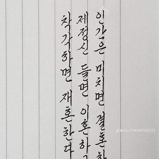 피드 이미지