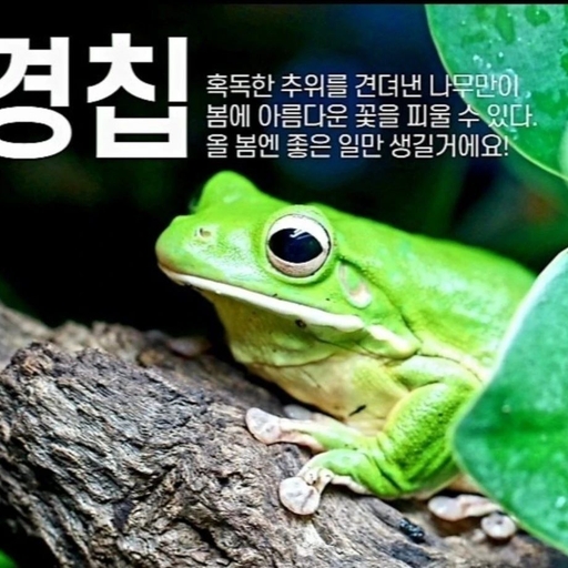 피드 이미지