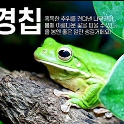 피드에 업로드 된 이미지