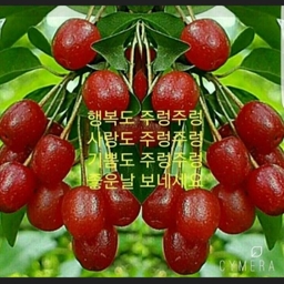 피드에 업로드 된 이미지
