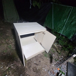 피드에 업로드 된 이미지