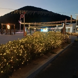 피드에 업로드 된 이미지