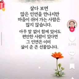 피드에 업로드 된 이미지