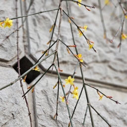 피드에 업로드 된 이미지