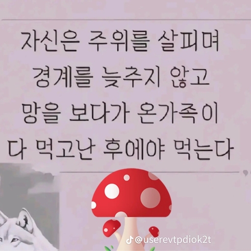 피드 이미지