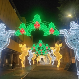 피드에 업로드 된 이미지