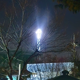 피드에 업로드 된 이미지