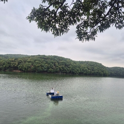 피드에 업로드 된 이미지