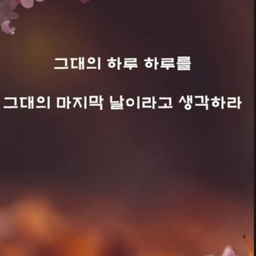 피드에 업로드 된 이미지