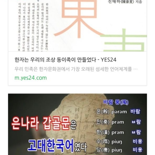 피드 이미지