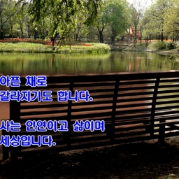 피드에 업로드 된 이미지