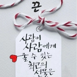 피드에 업로드 된 이미지