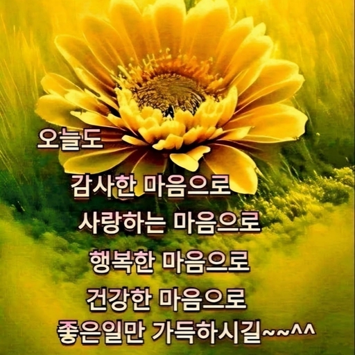 피드 이미지