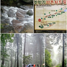 피드에 업로드 된 이미지