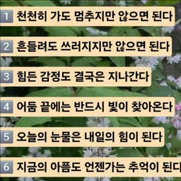 피드에 업로드 된 이미지
