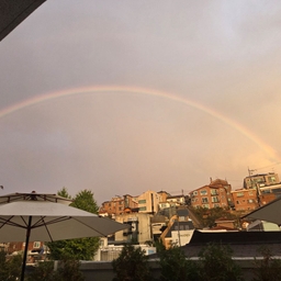 피드에 업로드 된 이미지