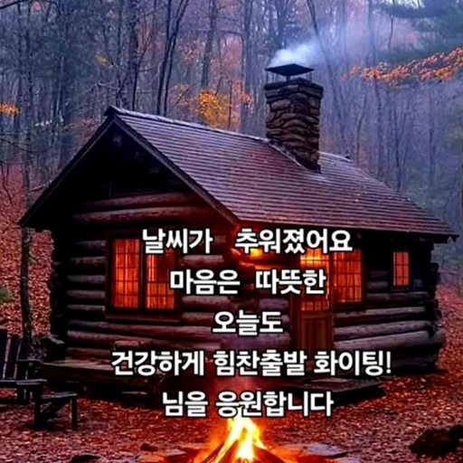 피드 이미지