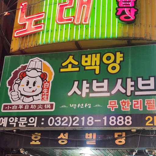피드 이미지