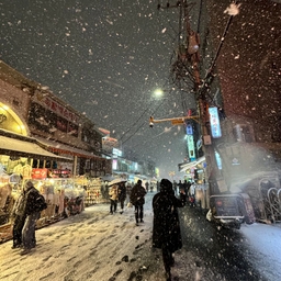 피드에 업로드 된 이미지