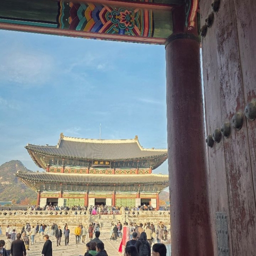 피드 이미지