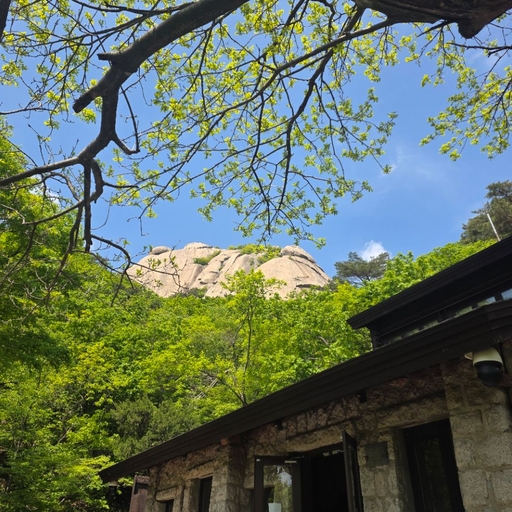 피드 이미지