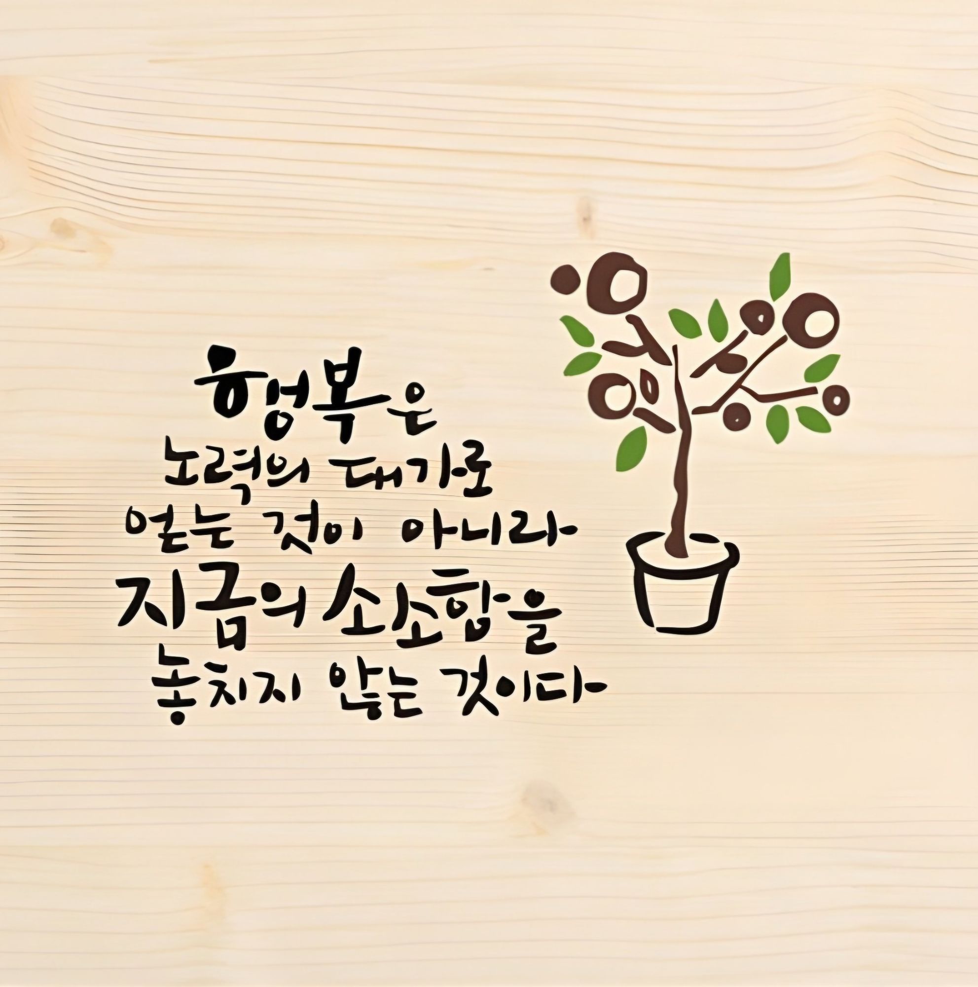 피드에 업로드 된 이미지