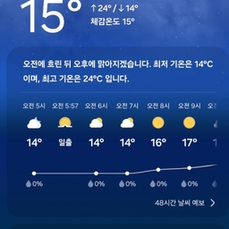 피드에 업로드 된 이미지