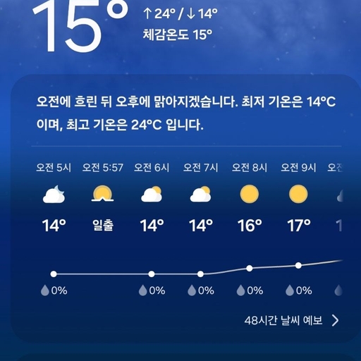 피드 이미지