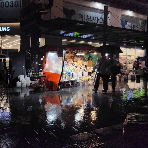 피드 이미지
