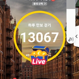 피드에 업로드 된 이미지