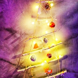 피드에 업로드 된 이미지