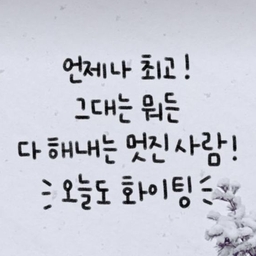 피드에 업로드 된 이미지