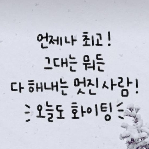 피드 이미지