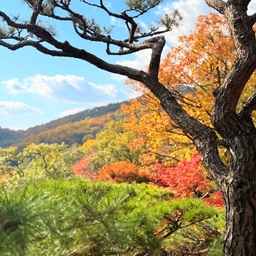 피드에 업로드 된 이미지