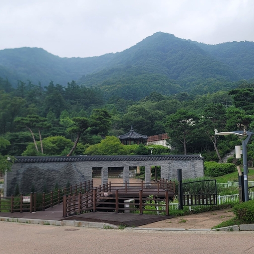 피드 이미지