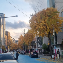 피드에 업로드 된 이미지