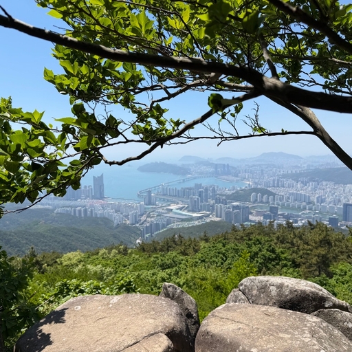 피드 이미지