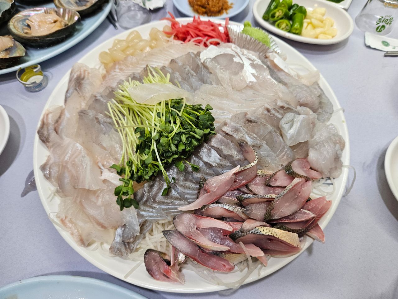 피드 이미지