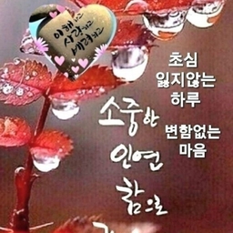 피드에 업로드 된 이미지