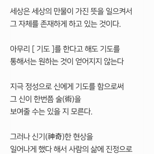 피드 이미지