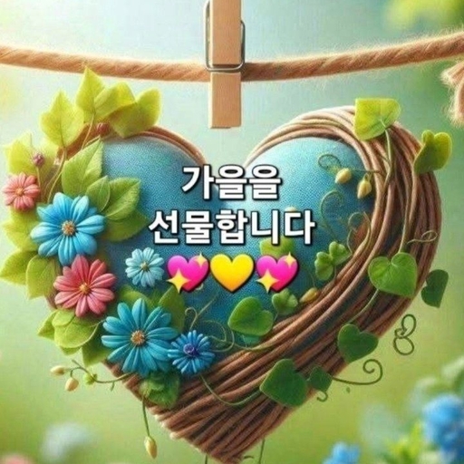 피드 이미지