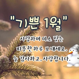 피드에 업로드 된 이미지