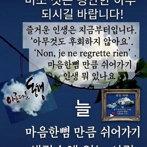 피드 이미지