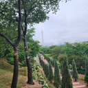멤버 프로필