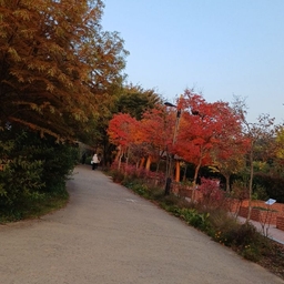 ํผ๋์ ์
๋ก๋ ๋ ์ด๋ฏธ์ง