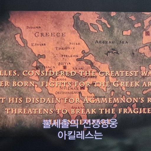 피드 이미지