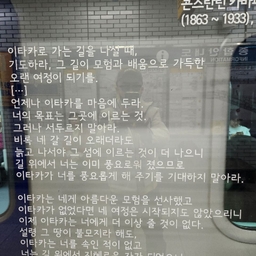 피드에 업로드 된 이미지